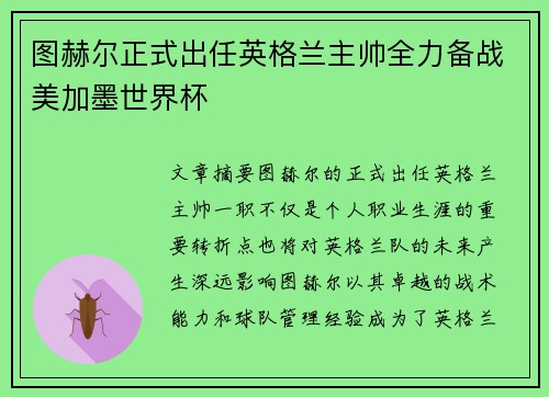 图赫尔正式出任英格兰主帅全力备战美加墨世界杯